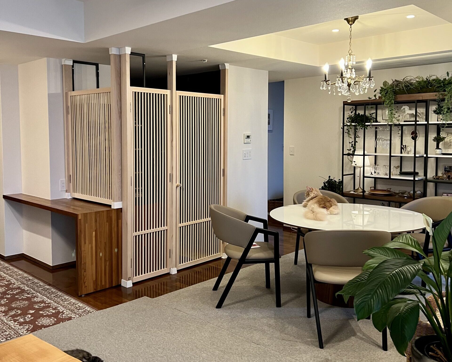 ねこ工房の世界観