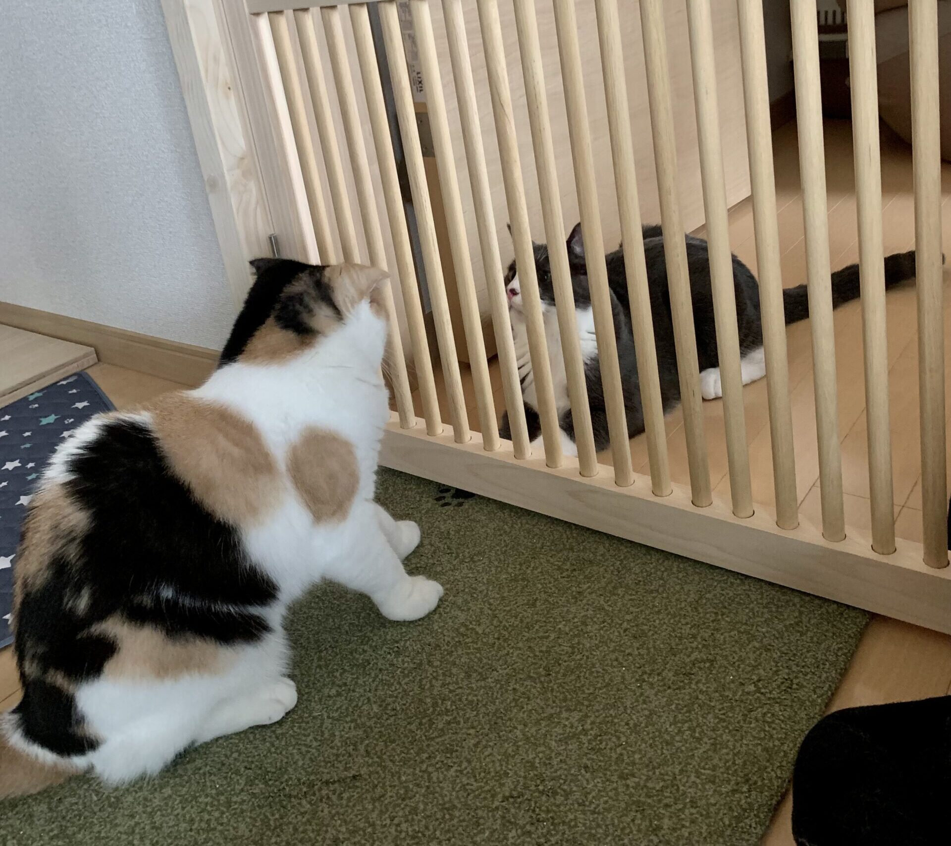 安全な格子間隔