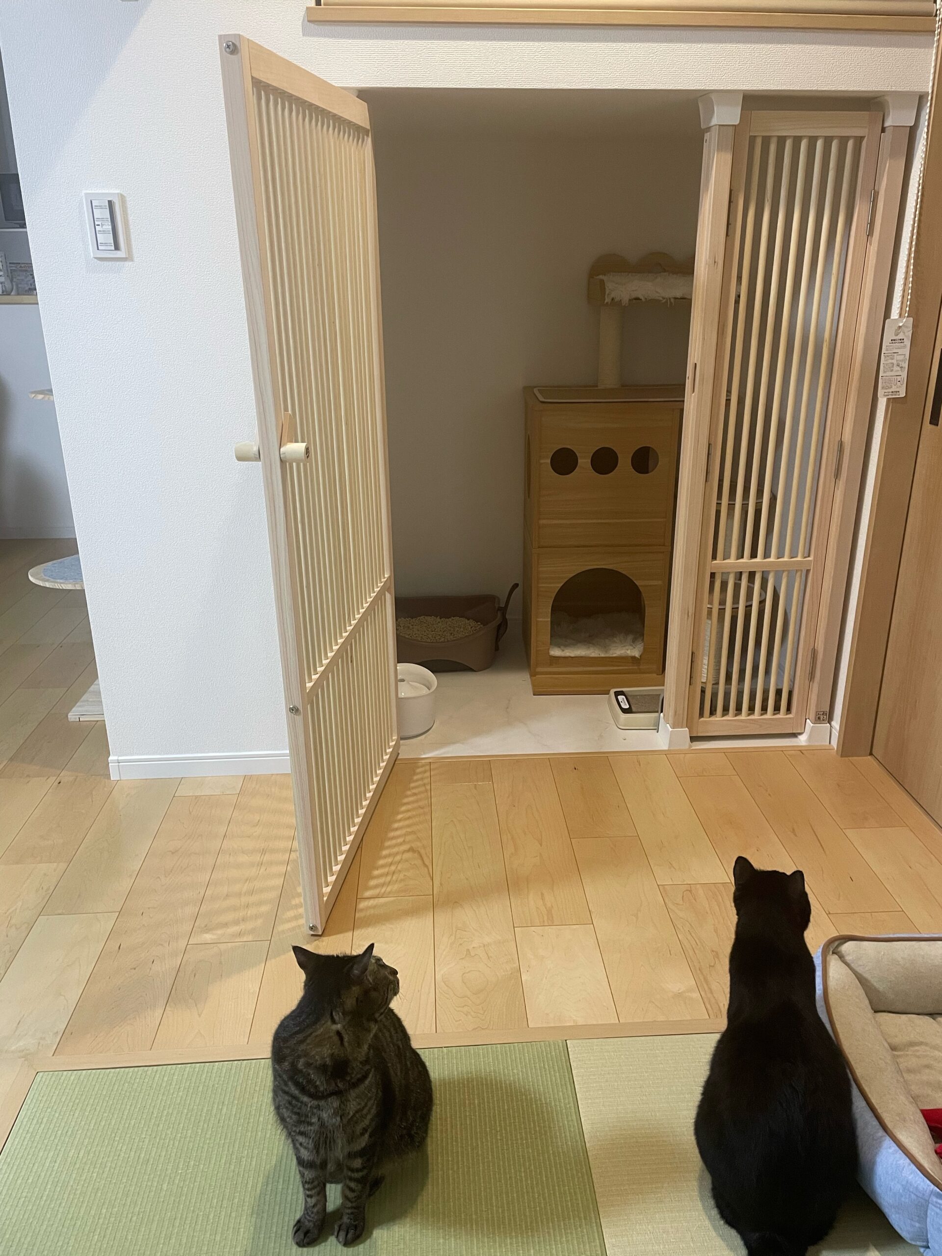 猫専用スペース
