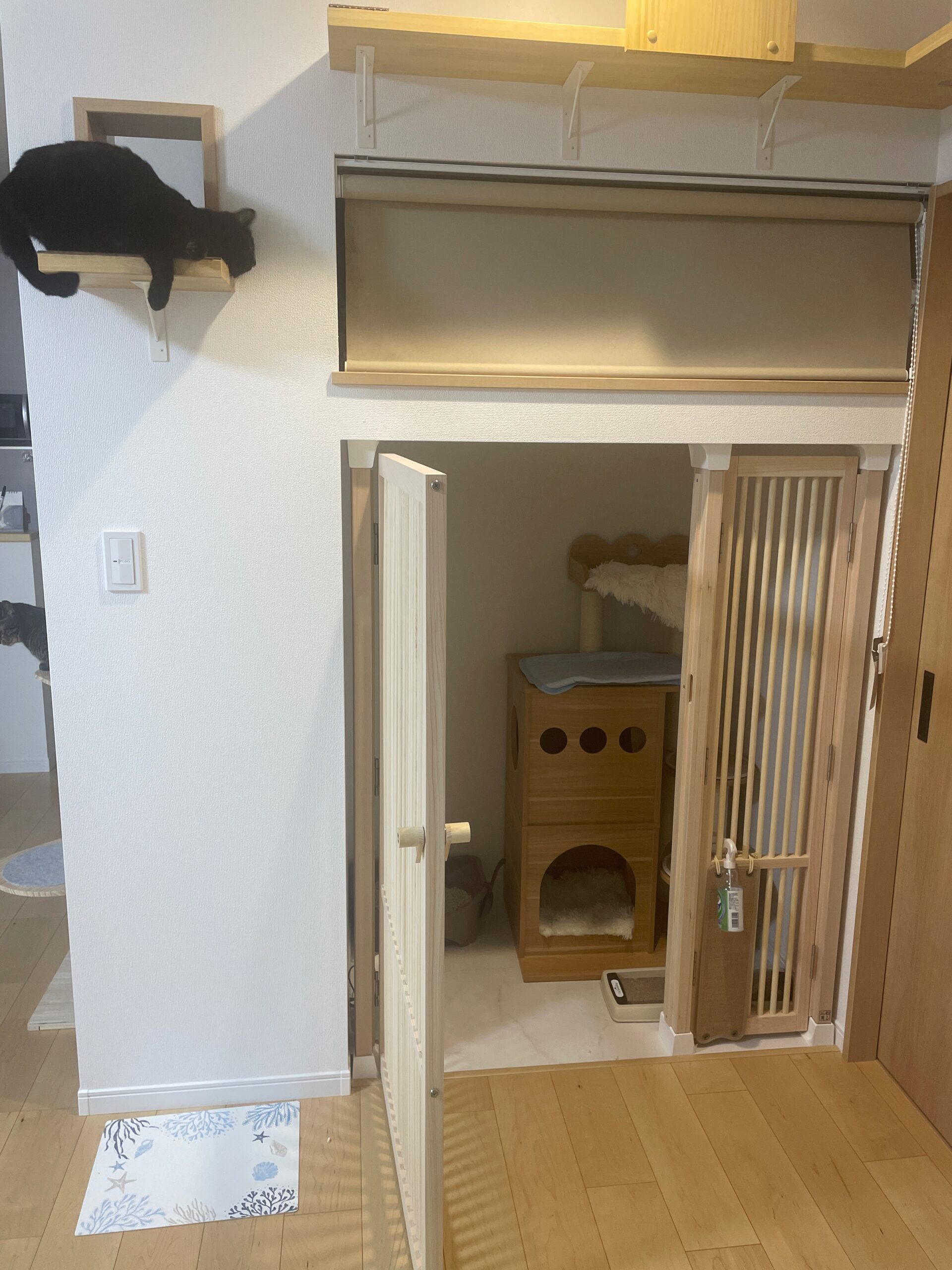 猫専用スペース