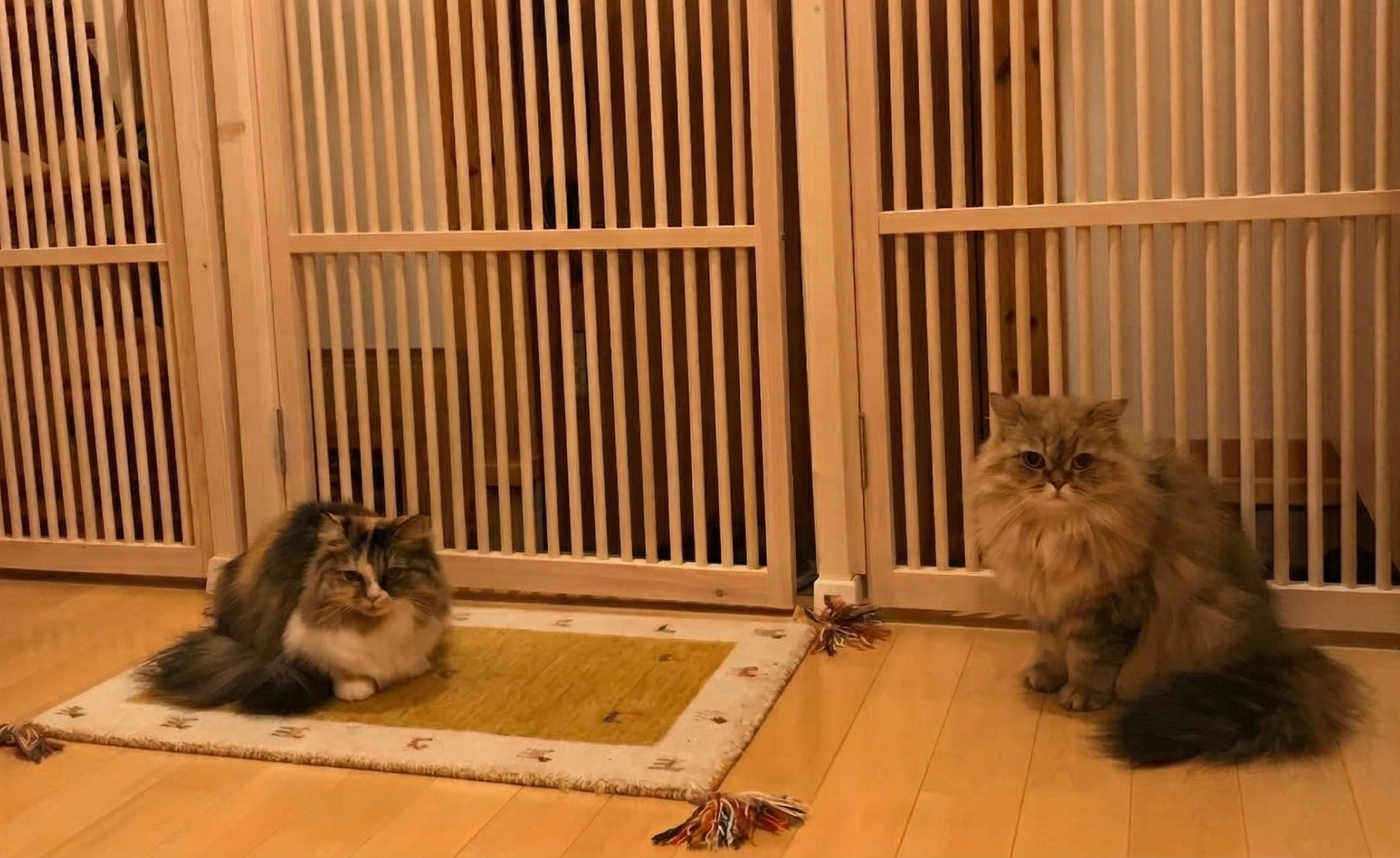 にゃんがーど トリプルシリーズ